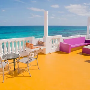 book here