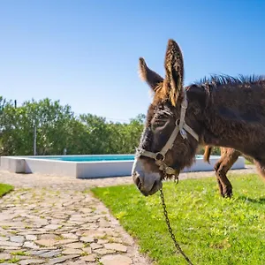 Burro Agroturismo Portimão